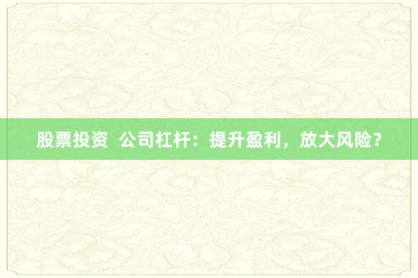 股票投資  公司杠桿：提升盈利，放大風險？