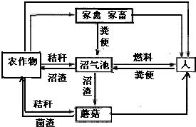 為研究影響某種植物光合速率的因素.科研人員進(jìn)行了相關(guān)實(shí)驗(yàn).請據(jù)圖回答 1 表為不同溫度條件下光合速率隨光照強(qiáng)度變化而變化的數(shù)據(jù)記錄表.當(dāng)溫度為20 .光照強(qiáng)度大于